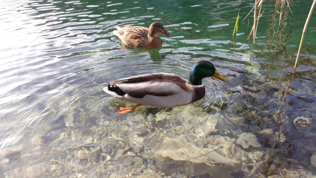 Vacation House Home, Plitvice Lakes National Park Plitvička Jezera Esterno foto
